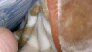 بند تامل سریال سکسی الکسیس اتارنا - 2022-04-19 02:46:12